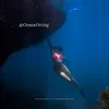 Bôngg Freediving