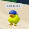 wh4ttheduck10