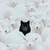 asaforlife7