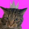 boingo_blingus