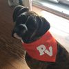 lunatheboxer315