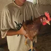 pablovaan
