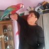rubentorres6