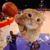 ballincat43