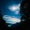 gamil_054
