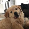 babypopcorn17