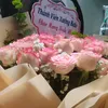ngoc_phan.99