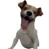 carlspncr