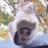 vhunh0