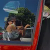cqllasso