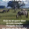 bugrecorrea