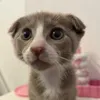 Bilbobaggins
