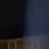 wertvfg8