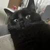 anixjolou