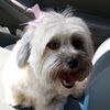 nellys_33
