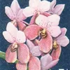 annaisnormal