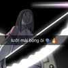 d_qb1303