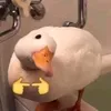 thaovami123