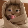chi3xitin