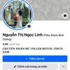 nglinniee