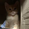 dunndunn_18