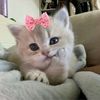 user0794x