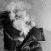 niek.1091