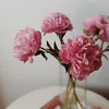 tuyentapxaykenh
