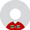 ansaa0013