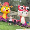tieu_boi_179