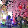 nguyenanhduy_20.01