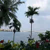 buithuong65