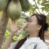 t1996.thuong