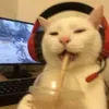 basicallyiranoutofidea