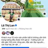 Lê Thị Lan