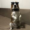 user025272282