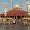 dewiapriani103