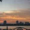 thuyminhtran01