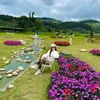 anh_anh408