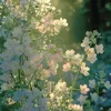 yumi_ch4u