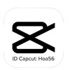 Hoa56