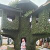 dewimalinda11
