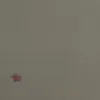 __pkkkk