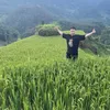 toisequaylainhanhthoi