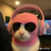 iambapbap