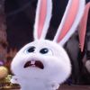 omg_po
