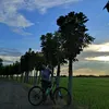doraniarkhy