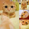hafidz_ivan14