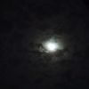 austrome_