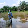 teger_libra